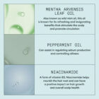 Nioxin Scalp Recovery™ Kit