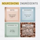 Nioxin System 1 Loyalty Kit